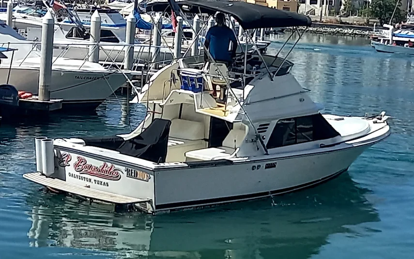 Black Fin